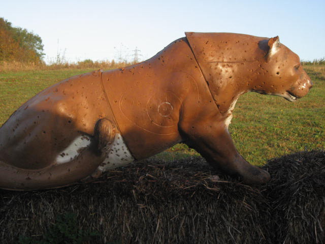 McKenzie Mountain Lion