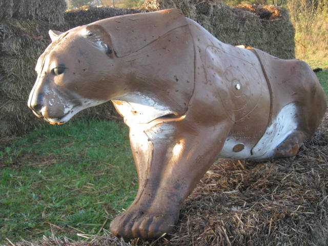 McKenzie Mountain Lion