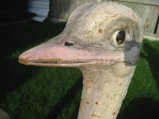 Artefact Ostrich