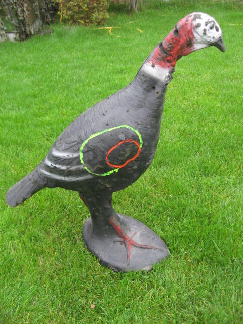 Franzbogen Turkey Hen