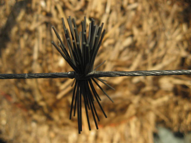 Cats Whiskers Silencers