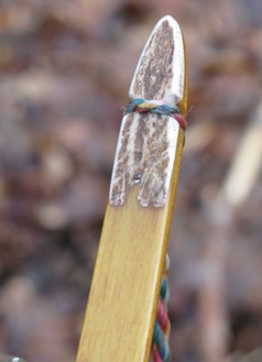 Antler Limb Tips