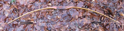 Bow profile strung
