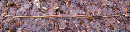 Bow profile unstrung