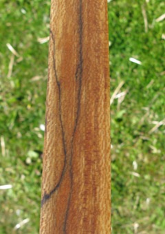 Addiction Limbs